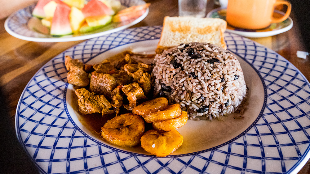 Costa rica food